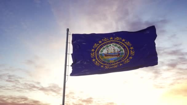 De vlag van New Hampshire wappert in de wind. Dramatische lucht achtergrond. 4K — Stockvideo