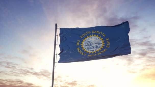 南达科他州的国旗在风中飘扬.戏剧性的天空背景。4K — 图库视频影像
