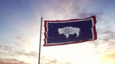 Wyoming eyalet bayrağı rüzgarda sallanıyor. Dramatik gökyüzü arkaplanı. 4K