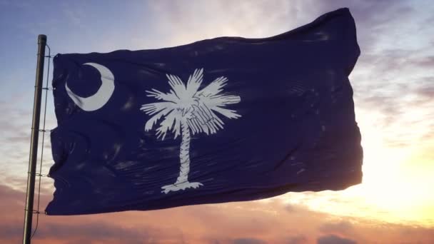 Флаг Южной Каролины, размахивающий на ветру против глубокого красивого неба на закате — стоковое видео