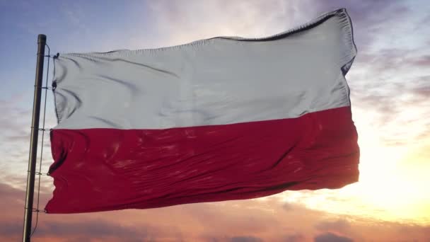 Bandera de Polonia ondeando en el viento contra el cielo profundo y hermoso al atardecer — Vídeo de stock