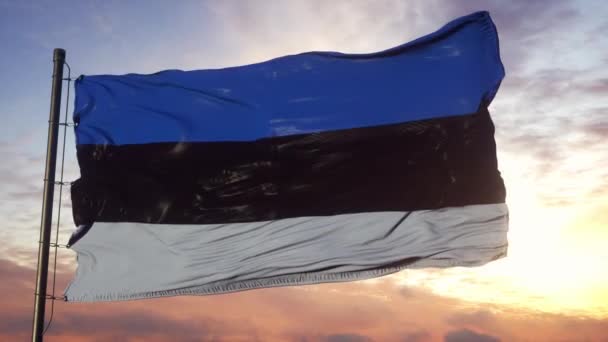 Bandera de Estonia ondeando en el viento contra el cielo profundo y hermoso al atardecer — Vídeos de Stock