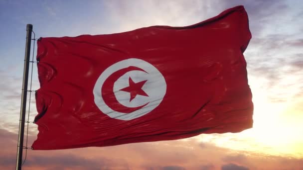 Flag of Tunisia waving in the wind against deep beautiful sky at sunset — Stock Video