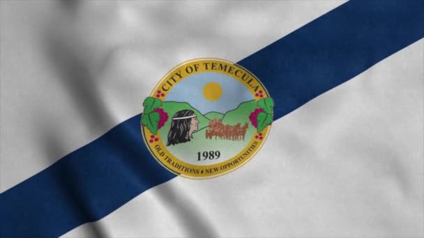 Vlag van Temecula, stad Californië, Verenigde Staten van Amerika — Stockvideo