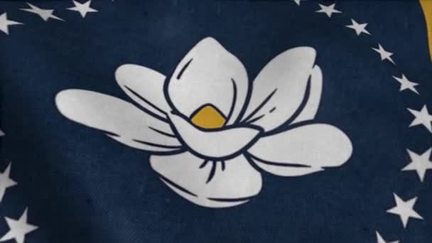 Nowa flaga stanu Mississippi, Magnolia Flag. Flaga powiewa na wietrze. 4K — Wideo stockowe