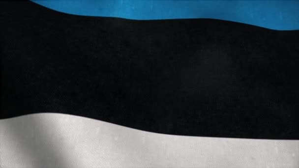 Bandera de Estonia ondeando en cámara lenta con textura de tela, imágenes 4K — Vídeo de stock