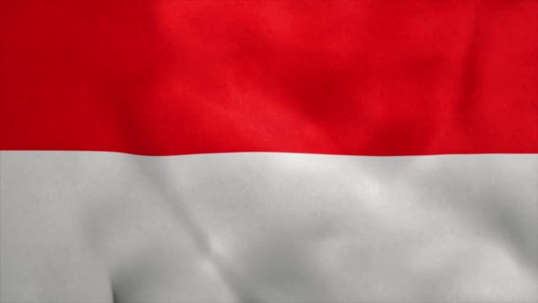 Εθνική σημαία της Ινδονησίας φυσάει στον άνεμο. Απρόσκοπτη θηλιά — Αρχείο Βίντεο
