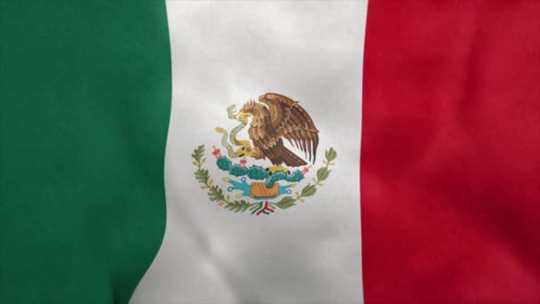 墨西哥国旗在风中飘扬.无缝圈 — 图库视频影像