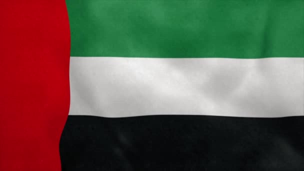 Förenade Arabemiratens flagga blåser i vinden. Sömlös ögla — Stockvideo