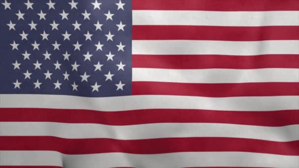 Drapeau des États-Unis d'Amérique soufflant dans le vent. Boucle sans couture — Video