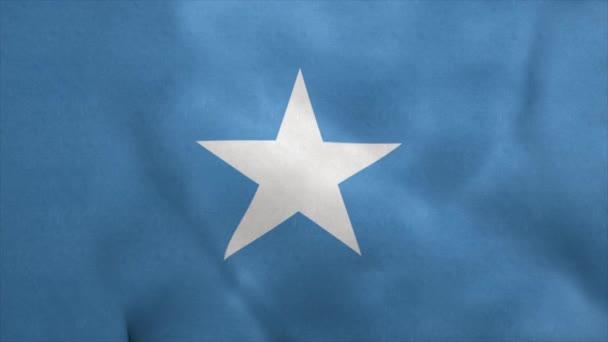 Государственный флаг Сомали, несущийся на ветру. Бесшовный цикл — стоковое видео