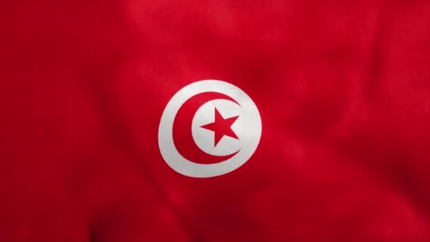 Drapeau national de Tunisie et Tobago soufflant dans le vent. Boucle sans couture — Video