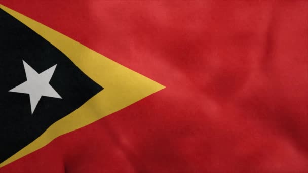 Drapeau national du Timor oriental soufflant dans le vent. Boucle sans couture — Video