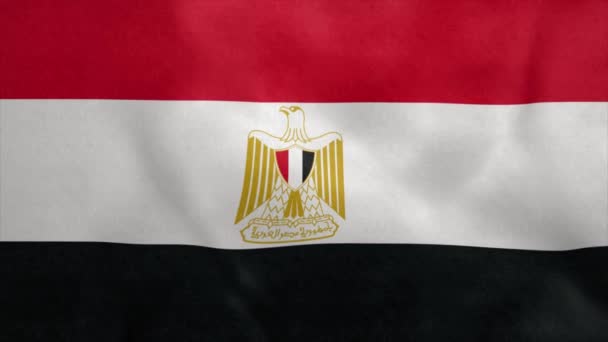Bandiera nazionale dell'Egitto che soffia nel vento. loop senza soluzione di continuità — Video Stock