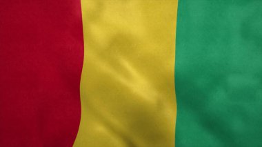 Ulusal Gine bayrağı rüzgarda dalgalanıyor. 3d oluşturma.