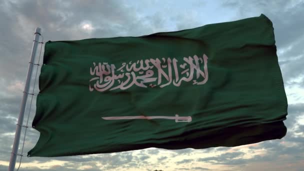 サウジアラビアの現実的な旗が青い空とゆっくりと風になびく — ストック動画