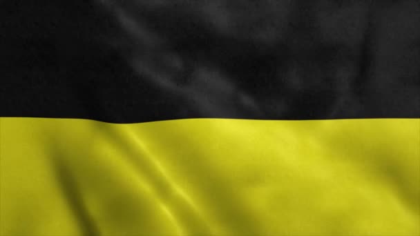 Флаг Мюнхена, город Германия, реалистичный анимационный фон — стоковое видео