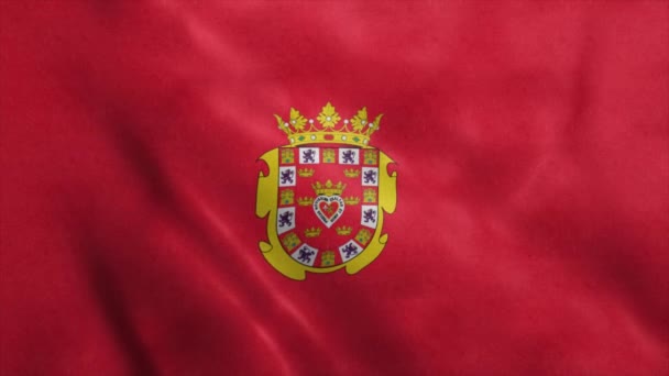 Murcia flag, město Španělsko, realistické animační pozadí — Stock video