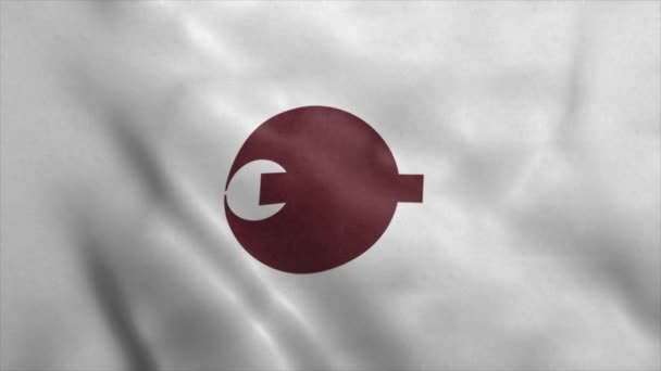 奈良県、中国、現実的なアニメーションの背景 — ストック動画