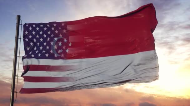 Bandera de Singapur y Estados Unidos en asta de bandera. Bandera de Estados Unidos y Singapur ondeando con viento — Vídeo de stock