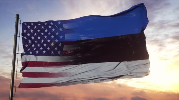 Bandera de Estonia y Estados Unidos en asta de bandera. Estados Unidos y Estonia Bandera ondeando en el viento — Vídeo de stock