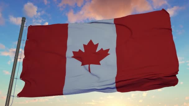 A Bandeira Nacional do Canadá também conhecida como A Folha de Maple agitando no vento — Vídeo de Stock