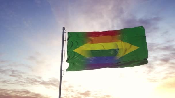 Vinka nationell flagga Brasilien och hbt regnbåge flagga bakgrund — Stockvideo