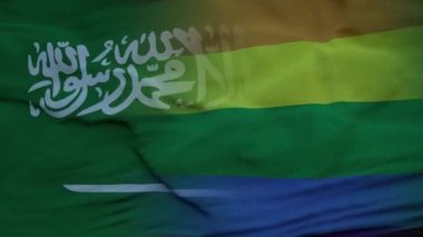 Suudi Arabistan ve LGBT gökkuşağı arka planında ulusal bayrak sallıyor