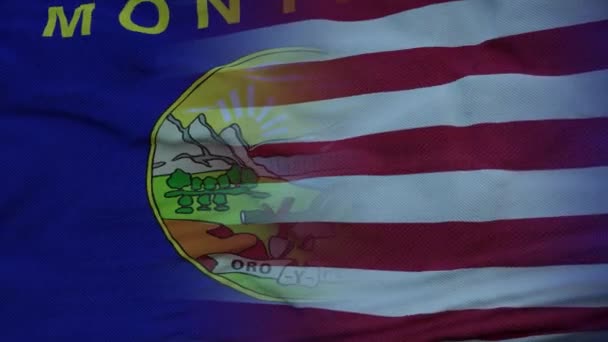 Estados Unidos y Montana Bandera Mixta ondeando en el viento. Bandera de Montana y Estados Unidos en asta de bandera — Vídeo de stock