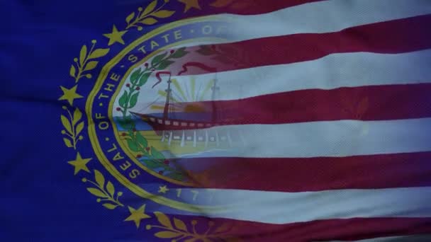 Etats-Unis et New Hampshire Drapeau mixte agitant dans le vent. Drapeau du New Hampshire et des États-Unis sur le mât — Video