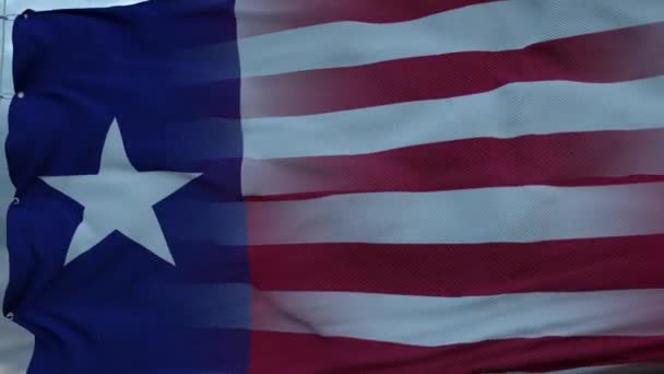 Etats-Unis et Texas Drapeau mixte agitant dans le vent. Drapeau Texas et États-Unis sur mât — Video