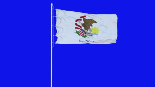 Drapeau de l'État de l'Illinois agitant sur le vent sur écran bleu ou fond chromatique — Video