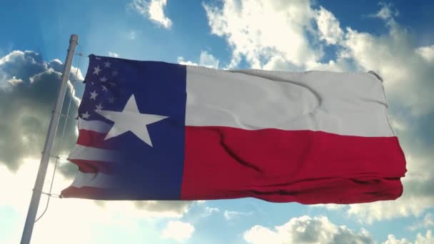 美国和得克萨斯州的国旗。美国和德克萨斯混合国旗在风中飘扬 — 图库视频影像