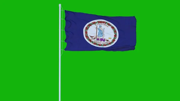Virginia Flagga Viftar Vinden Grön Skärm Eller Kroma Nyckel Bakgrund — Stockfoto