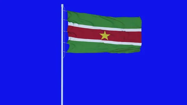 Surinaamse Vlag Wapperend Wind Blauw Scherm Chroma Key Achtergrond Destructie — Stockfoto