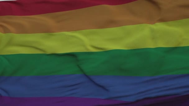 Ρεαλιστική σημαία της υπερηφάνειας ΛΟΑΤ κυματίζει στον άνεμο ενάντια στο βαθύ δραματικό ουρανό — Αρχείο Βίντεο