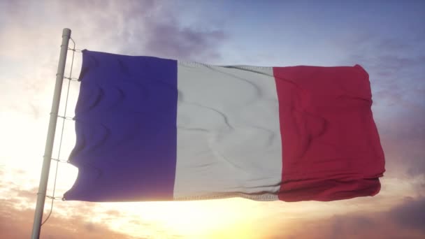 Bandiera di Francia sventola nel vento. Primo piano della bandiera della Repubblica francese — Video Stock