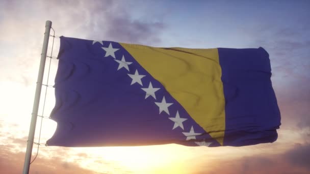 Bosna-Hersek bayrağı rüzgarda, gökyüzünde ve arka planda dalgalanıyor — Stok video