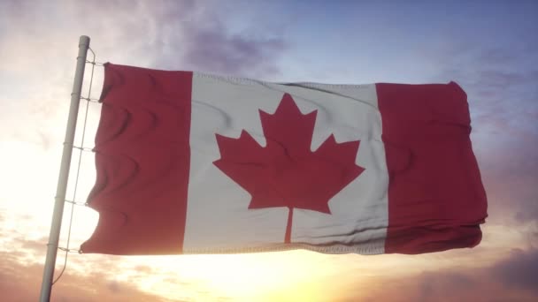 加拿大国旗在风、天空和阳光的背景下飘扬 — 图库视频影像