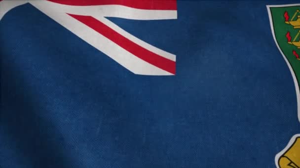 Brittiska Jungfruöarna flagga vinkar i vinden. Brittiska Jungfruöarnas nationella flagga — Stockvideo