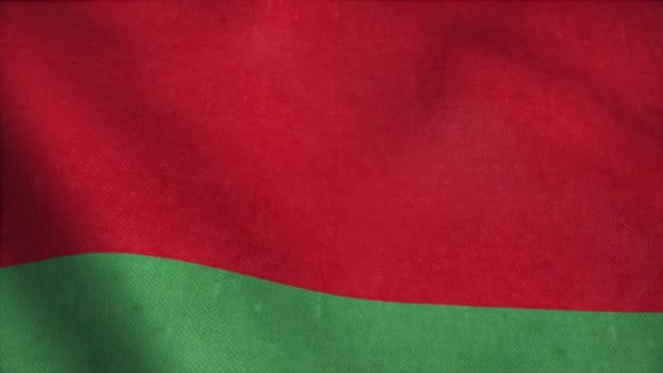 Bendera Belarus dalam animasi gerak lambat melambai dalam angin realistis — Stok Video