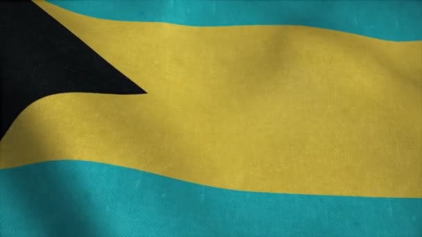 Bahamas flagga viftar i vinden. Bahamas flagga. Flagga sömlös loop animation. 4K — Stockvideo