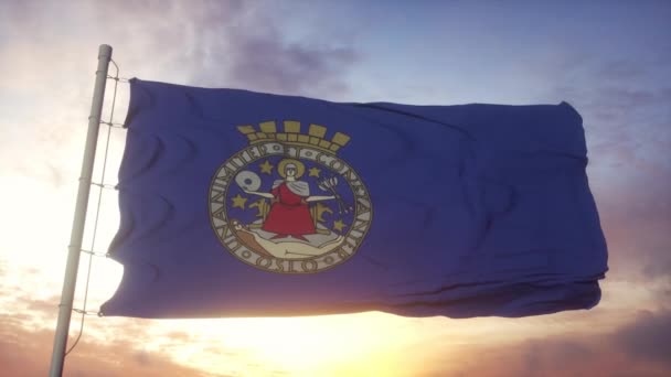 Vlag van Oslo, Noorwegen zwaaiend in de wind, hemel en zon achtergrond — Stockvideo