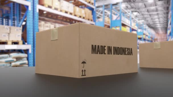 Dozen met MADE IN INDONESIA tekst op transportband. Israëlische goederen gerelateerde loopable 3D animatie — Stockvideo