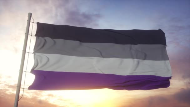 Асексуальный флаг, размахивающий на фоне ветра, неба и солнца — стоковое видео
