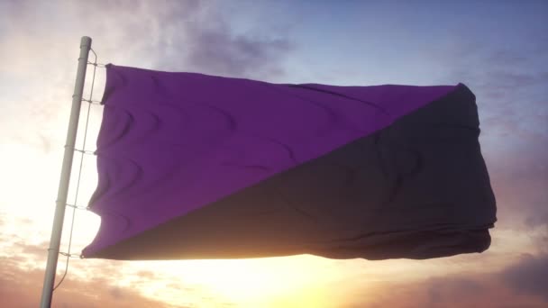 Feministická vlajka anarchy vlnící se ve větru, obloze a slunečním pozadí — Stock video