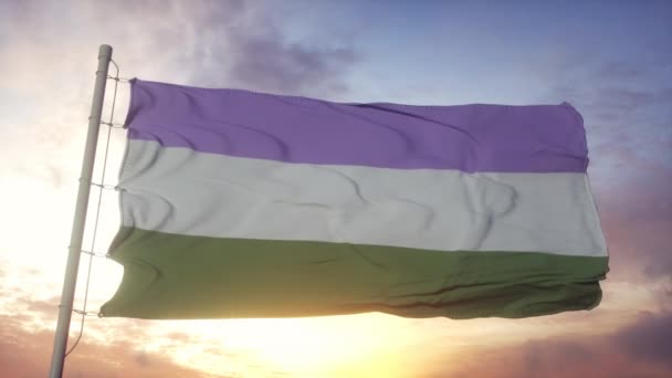 Genderqueer orgulho bandeira acenando no vento, céu e sol fundo — Vídeo de Stock