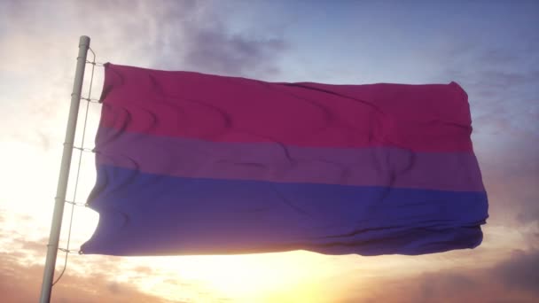 Bandeira do orgulho bissexual acenando no vento, céu e fundo do sol — Vídeo de Stock