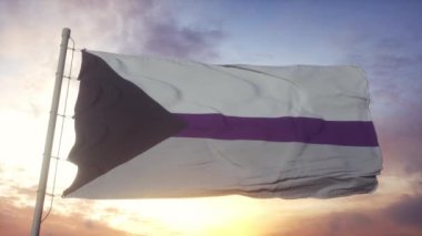 Rüzgarda, havada ve güneşte sallanan yarı seksüel gurur bayrağı