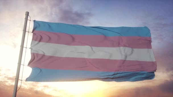 Флаг трансгендерной гордости, размахивающий на фоне ветра, неба и солнца — стоковое видео